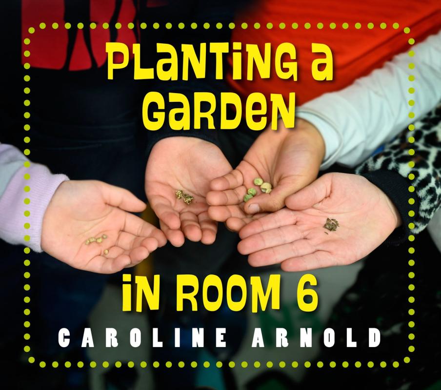 four small hands with seeds