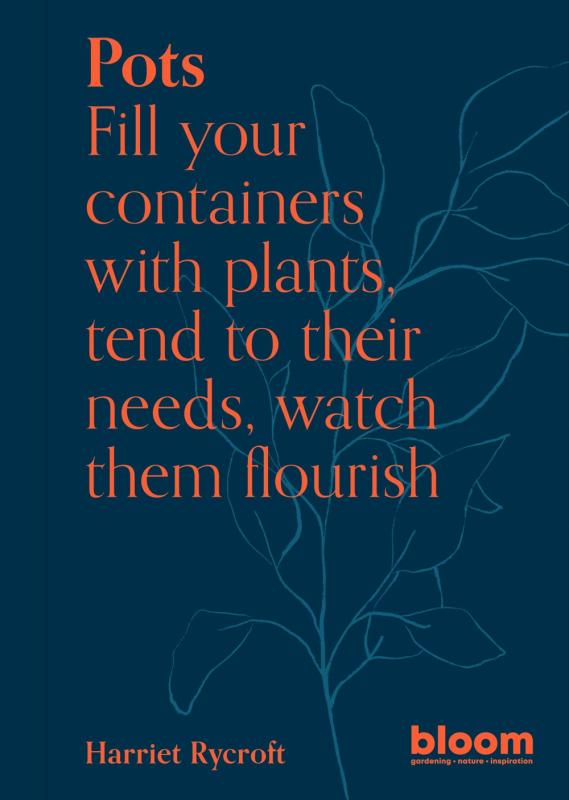 line art of a plant over dark blue background with red text