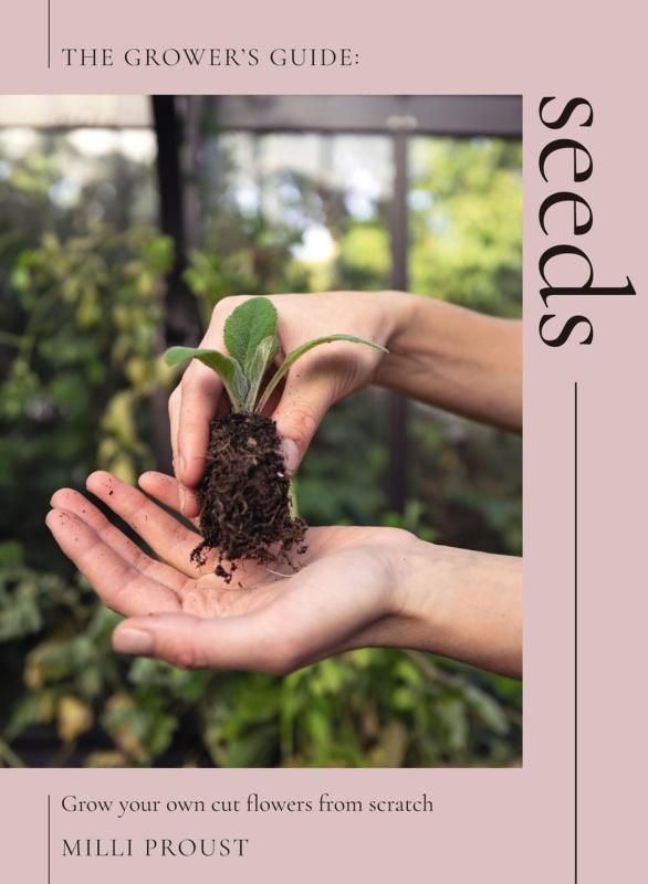 hands holding a small plant with exposed roots covered in soil over a greenhouse like background