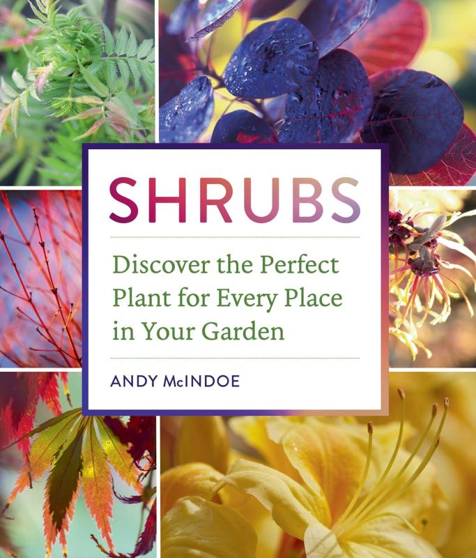 Six photos of colorful foliage of different kinds of shrubs