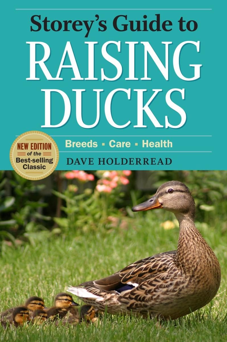 duck and duckies
