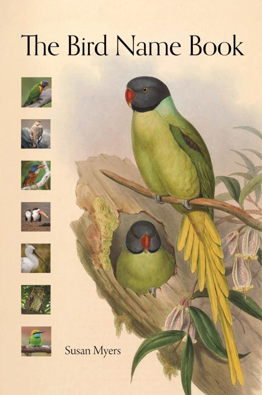drawings of birds in the center with six photos of birds in square photos on the lefthand side