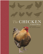 The Chicken: A Natural History