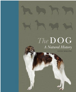 Dog: A Natural History