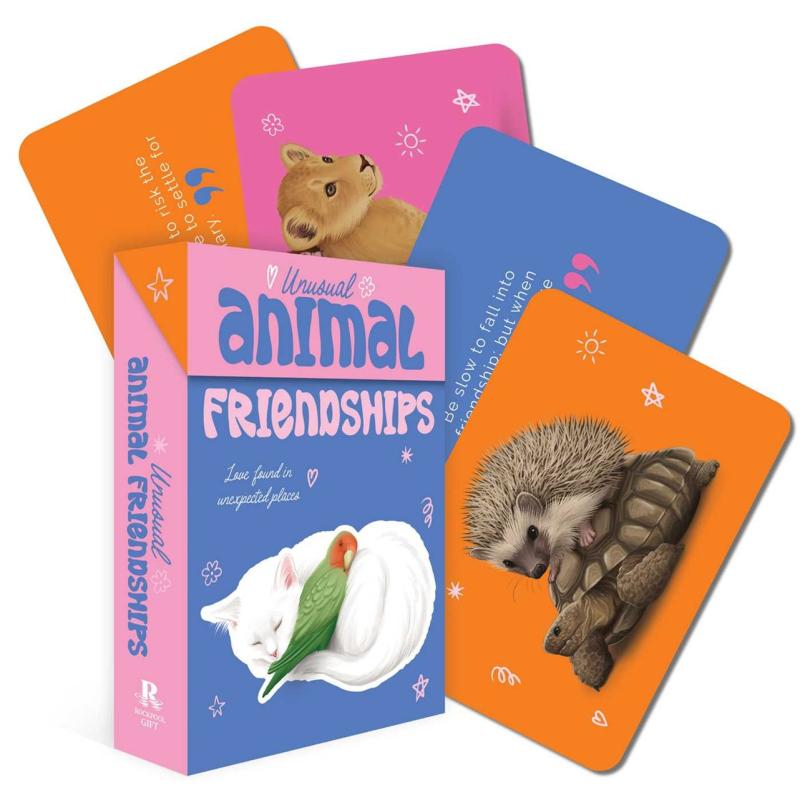 colorful cards with cute animals with a sample box featuring a kitten cuddling a parakeet 