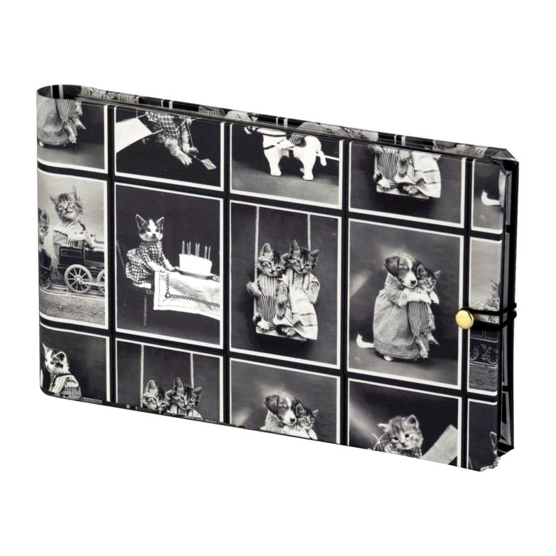Campy cat photos in black and white on the cover