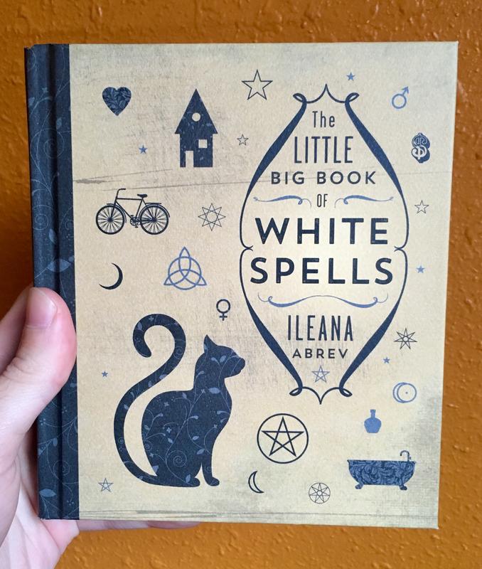 Simple icons, including a cat, a bike, a house, a tub, and a heart, surround the title of the book.