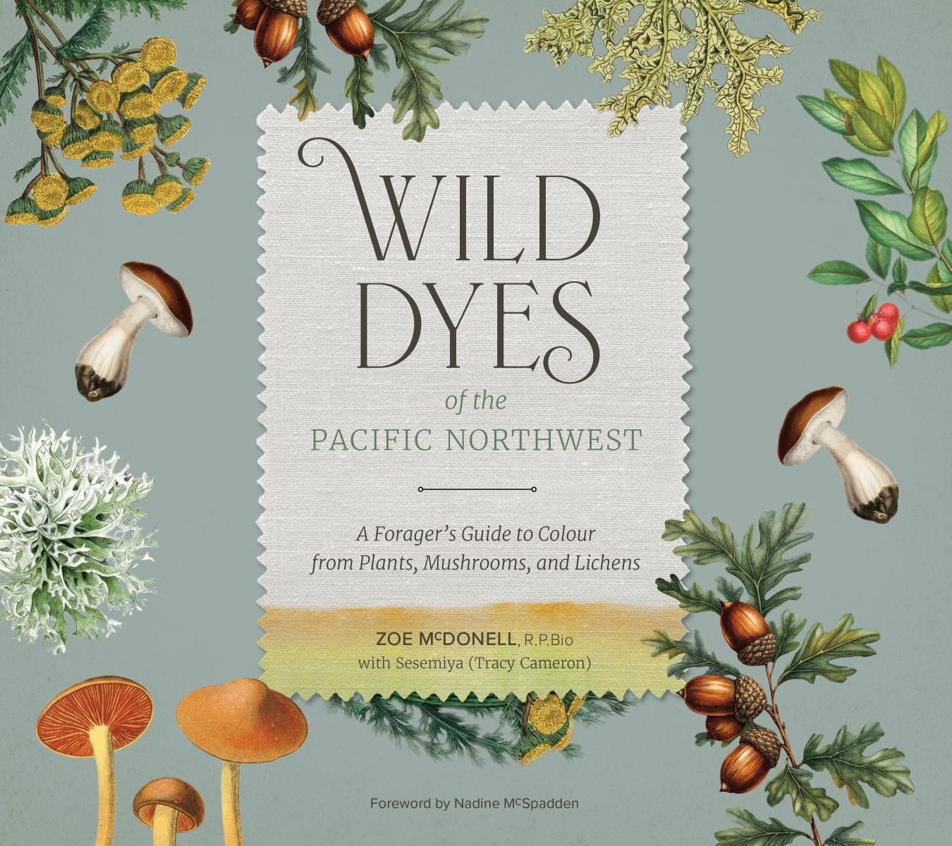 a collection of wild mushrooms and botanicals.