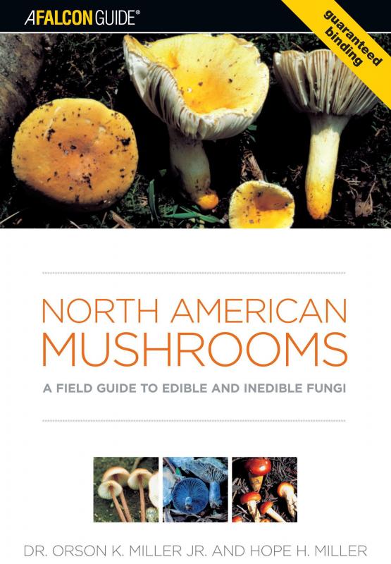 various north american mushrooms.