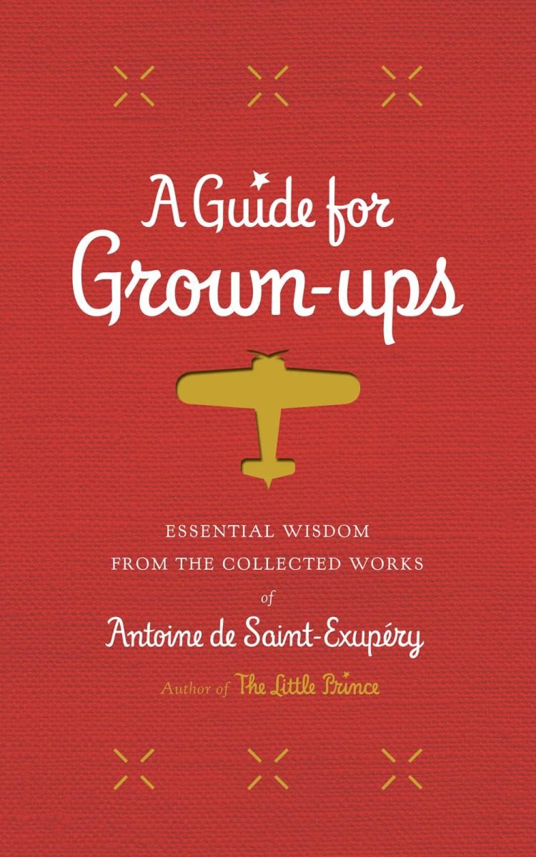red cover with white text with yellow aeroplane