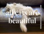 All Cats are Beautiful