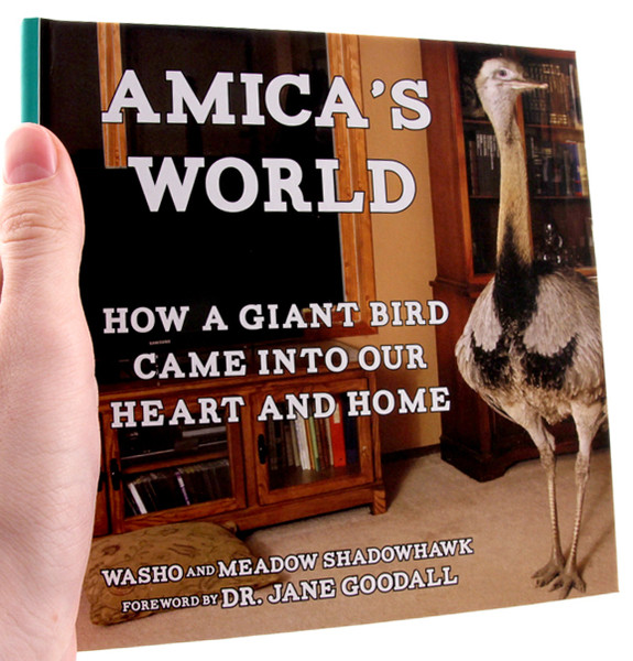 A book with a photo of Amica, a rhea, which is related to ostriches and emus, living contentedly indoors 