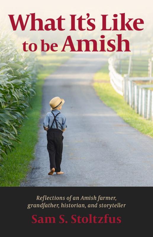 a photograph of an amish boy walking down a paved road