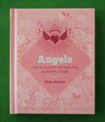 Pink cover with a design motif of angel wings