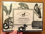 Fantastical Animals Sticky Notes (Alice Scott Vintage Prints)