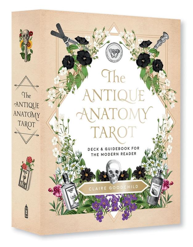 Antique Anatomy Tarot Kit : A Deck and Guidebook for the Modern Reader