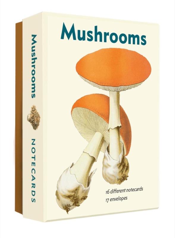 an illustration of two mushrooms on the front of the box of notecards