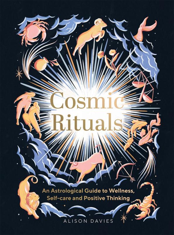 an illustration of all the astrological animals and signs surrounding a sun or other bright light emanating rays outward