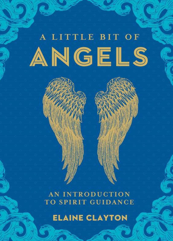 a pair of illustrated angel's wings