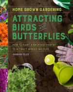 Attracting Birds And Butterflies