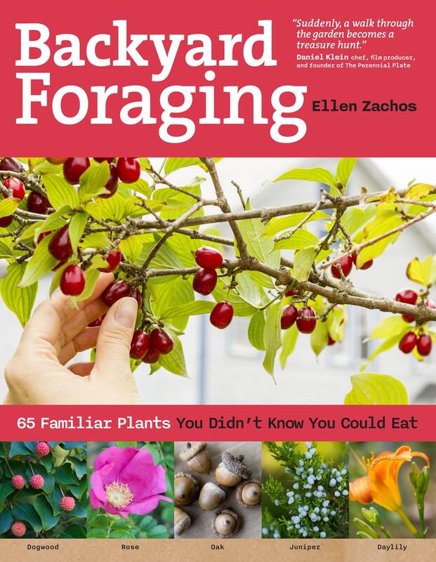 Backyard Foraging: 65 Familiar Plants You Didn't Know You Could Eat