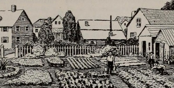 a vintage line drawing of a backyard farm