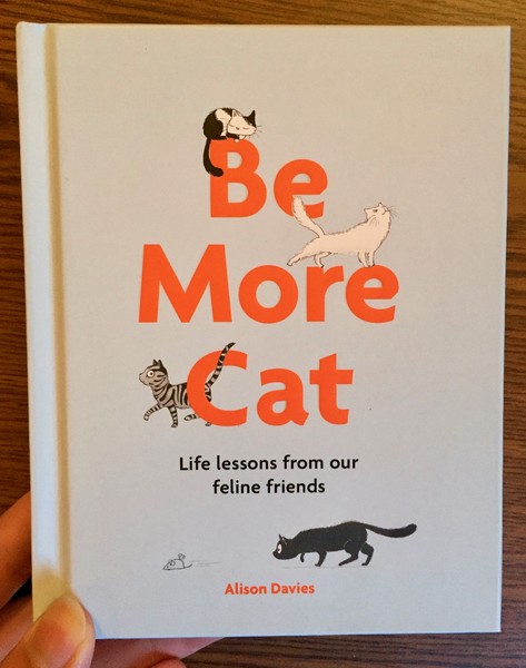 Be More Cat: Life Lessons from Our Feline Friends by Alison Davies