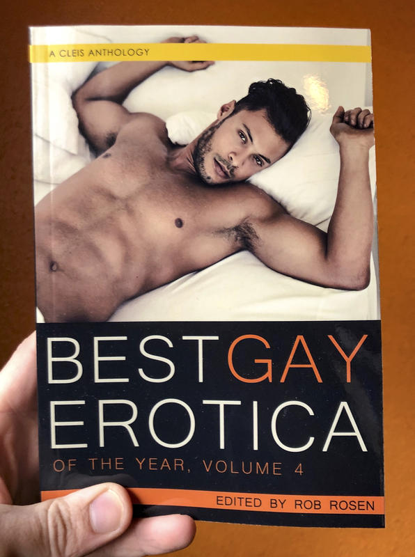 Best Gay Erotica: of the Year, Volume 4
