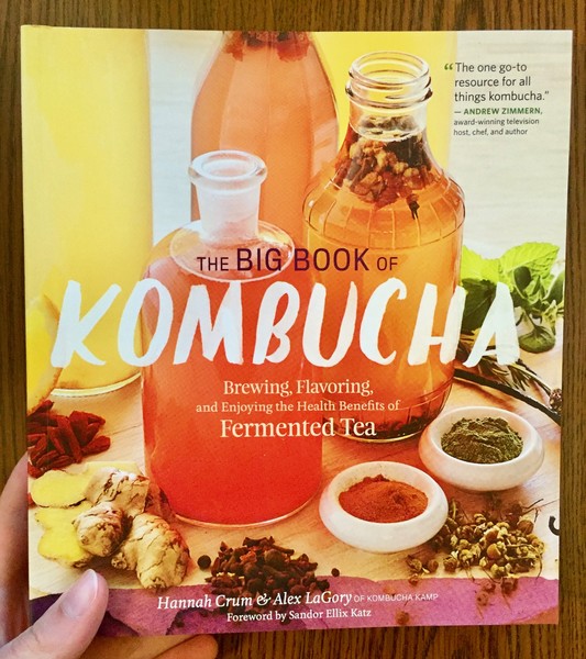 bottles of kombucha surrounded by kombucha ingredients.