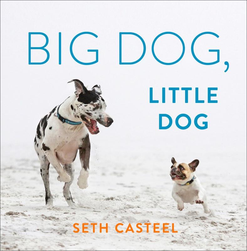 A square white box with a light blue title and a titular big dog along with an eponymous little dog on the left and right, respectively. 