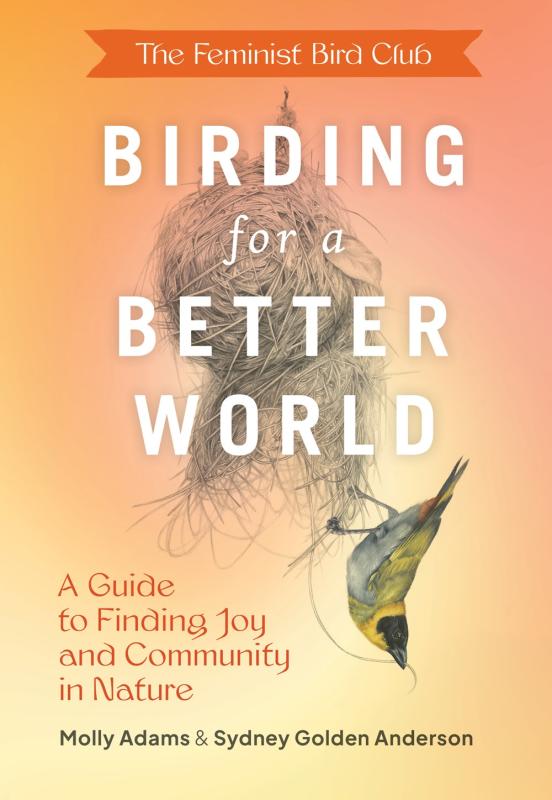 orange fades to yellow cover with illustration of a nest and a bird with bold white text