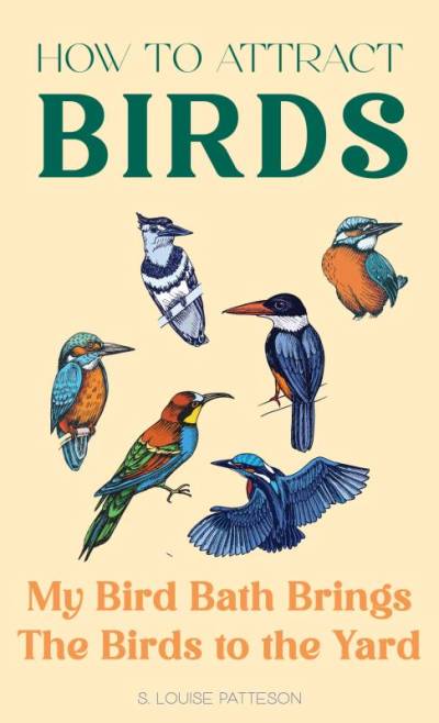 an old timey illustration of two trees and a child standing between them looking down at a bird bath with three birds flitting about