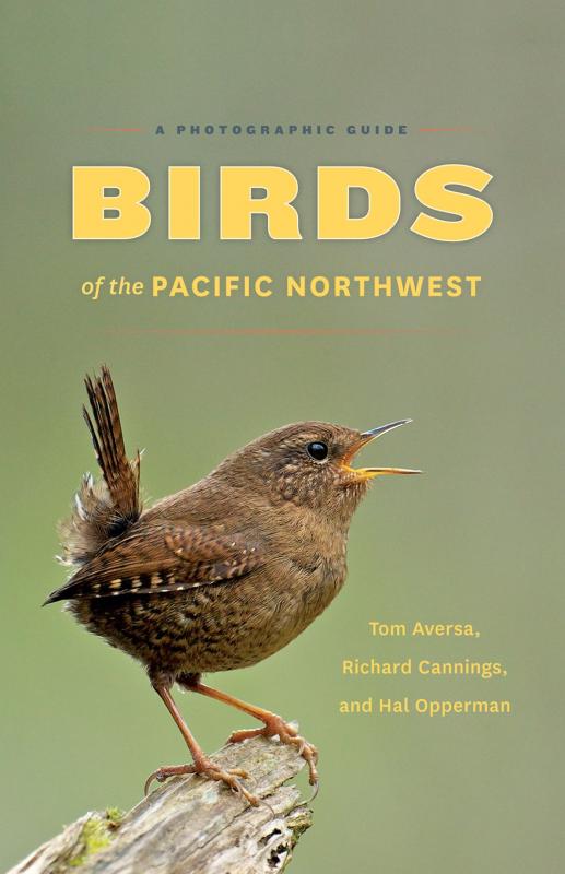 Cover with a photo of a bird