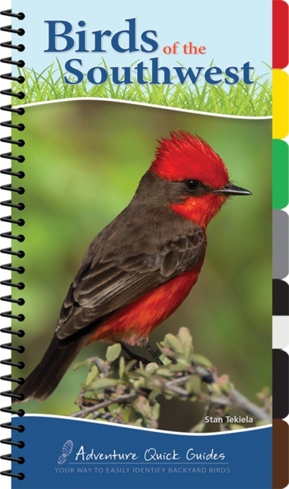 red and black bird with blue text