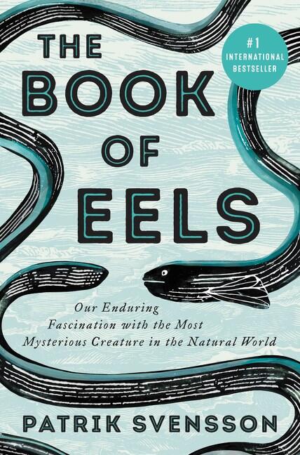 a stylized illustration of an winding eel