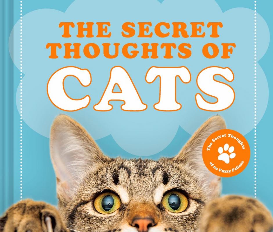 a cat peers up from the bottom of the cover