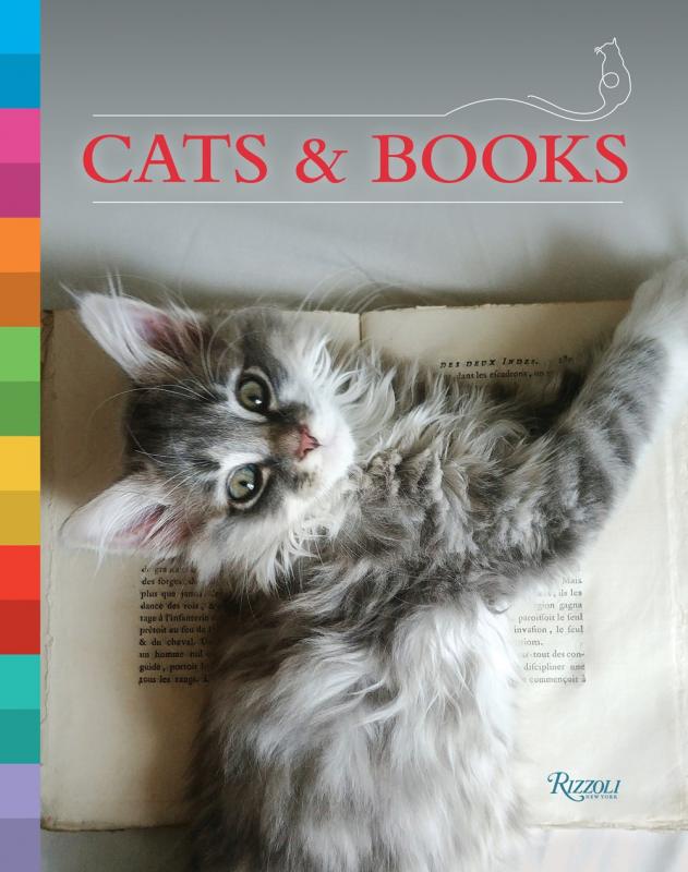 a grey and white cat laying on an open book