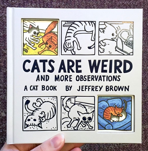 Cats are Weird: and More Observations