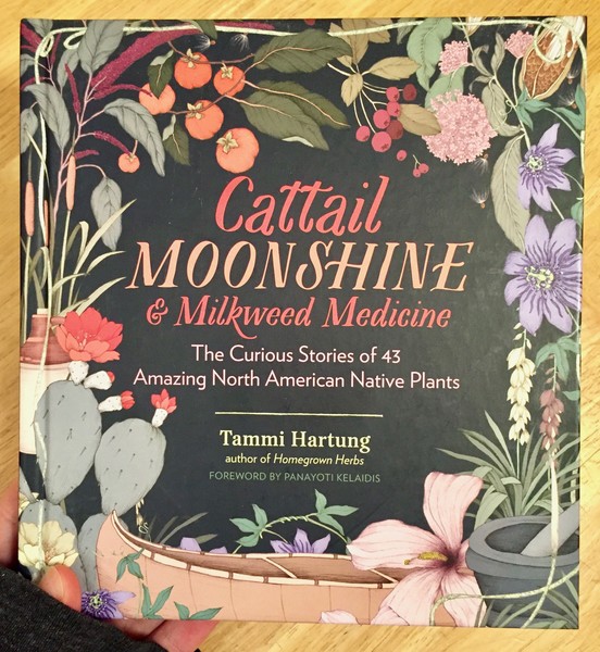 Cattail Moonshine & Milkweed Medicine: The Curious Stories of 43 Amazing North American Native Plants
