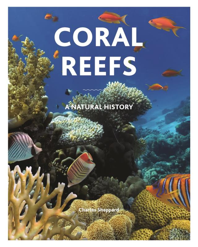 coral reef with fish and coral and more