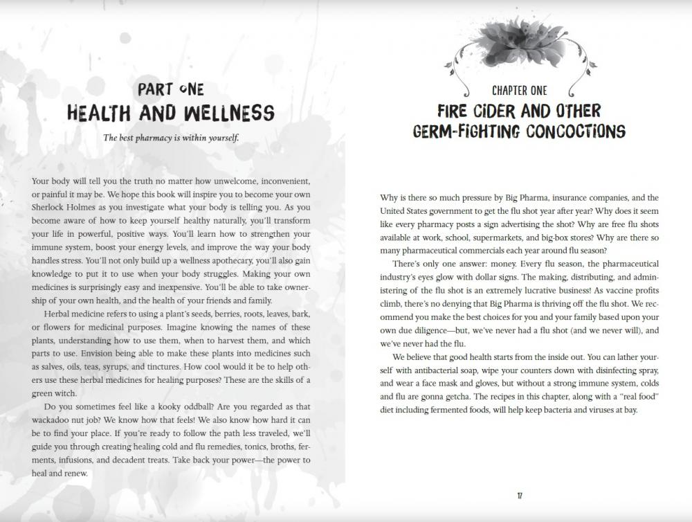 Dare to Be a Green Witch: The Grounded Goodwife's Guide to Wellness and Holistic Healing image #1