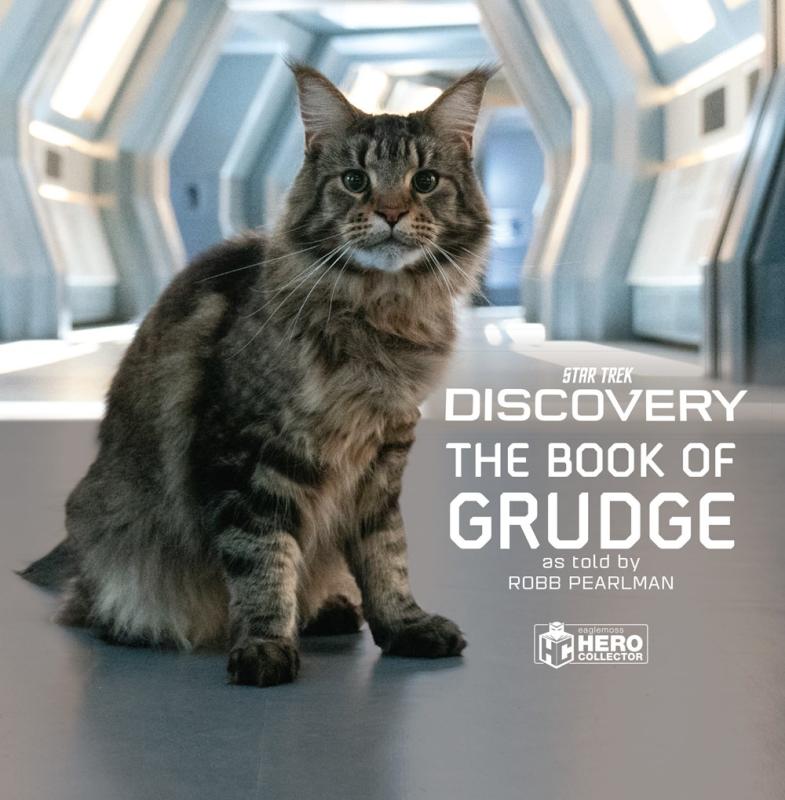 photo of the cat Grudge, somewhere on the Discovery starship