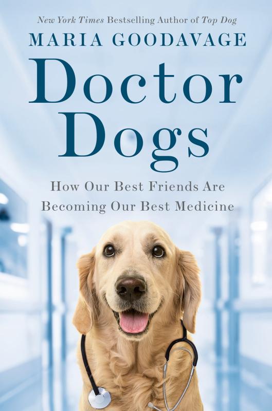 Doctor Dog is waiting for you in the hospital.