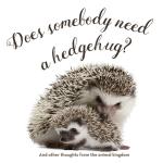Does Somebody Need a Hedgehug?: And Other Thoughts From the Animal Kingdom