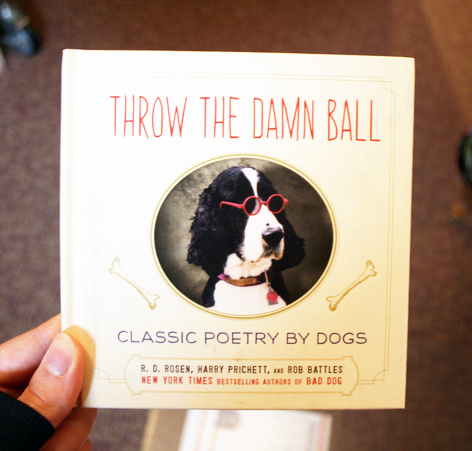 Throw the Damn Ball by R.D. Rosen and Harry Prichett and Rob Battles