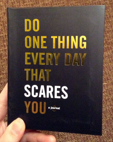 Do One Thing Every Day That Scares You by Robie Rogge and Dian Smith