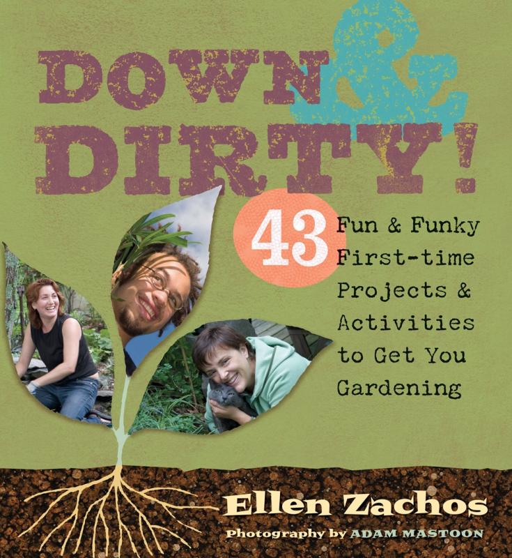 a plant with photographs of smiling people on the leaves against a green background, with roots in a brown strip at the bottom of the cover