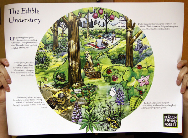 The Edible Understory poster showing the Beacon Food Forest