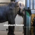 Elephant House (Animalibus: Of Animals and Cultures)