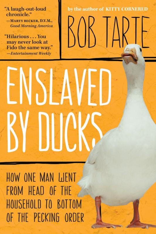 Orange cover with a large white duck.